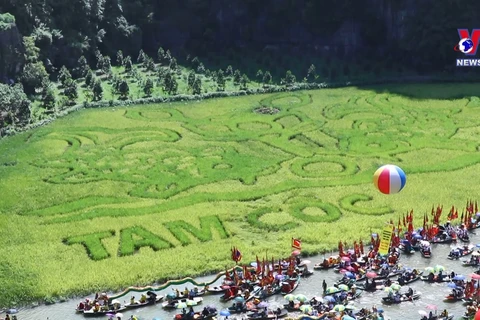 “三谷-长安金色”旅游周吸引数千名国内外游客参加