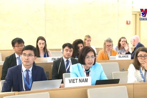 越南强调实质性对话和有效合作以促进和保护人权