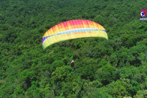 致力将滑翔伞发展成为岘港市新的招牌名片