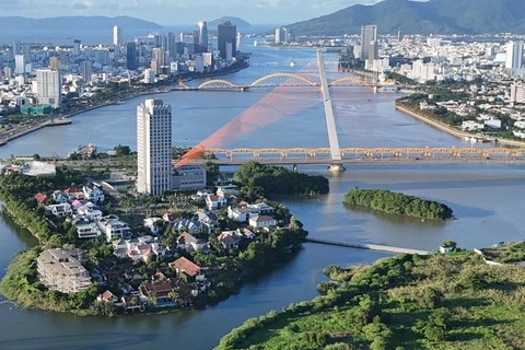 组图：岘港市“白鹭天堂”：白鹭成群翱翔的美景