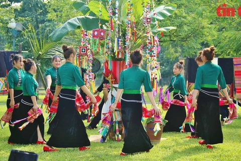 组图：通过天金邦节保护与弘扬莱州省黑泰族同胞文化特色