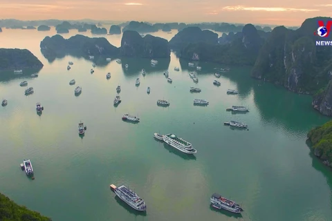 越南力争2024年旅游业全面复苏