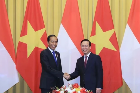 越南国家主席武文赏与印尼总统佐科•维多多举行会谈