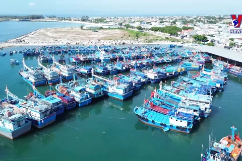 宁顺省加强渔船监管工作 杜绝违反IUU捕捞行为发生 