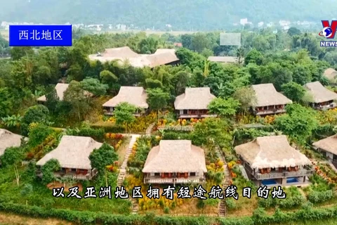 2024年越南游客最喜爱的国内热门旅游目的地