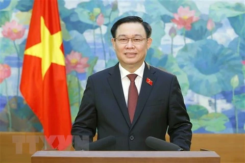 越南驻奥地利大使阮忠坚：国会主席访奥有助于全面推进双边关系
