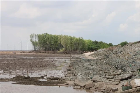 朔庄省通过总值1430亿越盾的两个防止海岸侵蚀项目