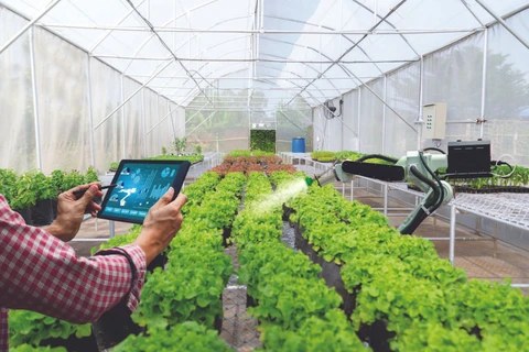 富寿省促进农业数字化转型进程 开启成功的“钥匙”