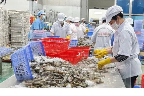 《越英自贸协定》的杠杆：越南虾类对英国的出口额可实现两位数增长