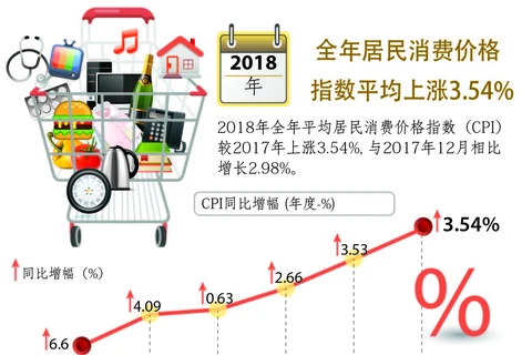 图表新闻：全年居民消费价格指数平均上涨3.54%