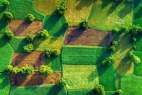 从高空俯瞰越南：青山绿水 美景无边（组图）