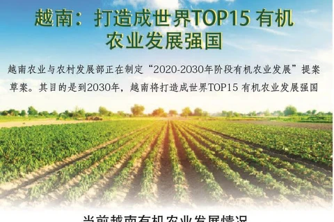 图表新闻：越南打造成世界TOP15 有机农业发展强国
