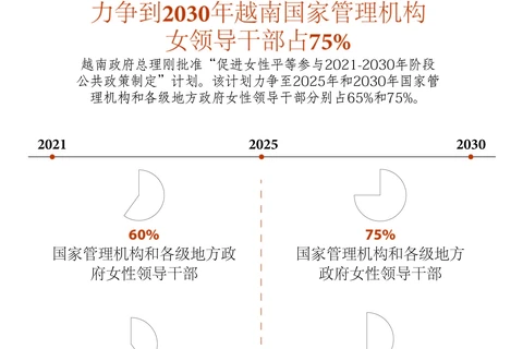 图表新闻：力争到2030年越南国家管理机构 女领导干部占75%