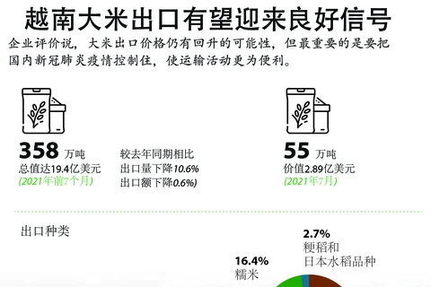 图表新闻：越南大米出口有望迎来良好信号