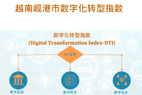互动图表：岘港市数字化转型指数