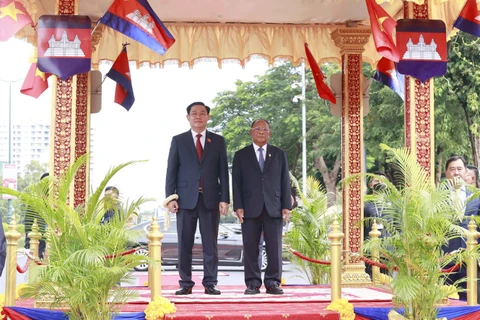 越南国会主席王廷惠对柬埔寨王国进行正式访问