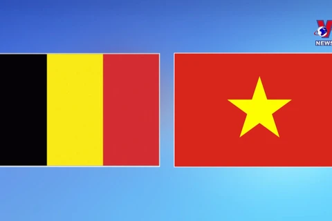 越南—比利时合作关系方兴未艾