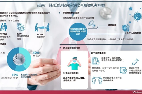 图表新闻：越南：降低结核病疾病负担的解决方案