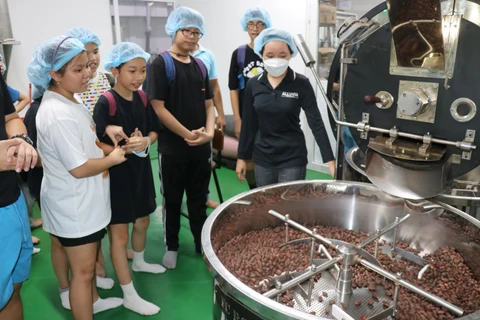 组图：来西南部地区品尝越南正宗的巧克力