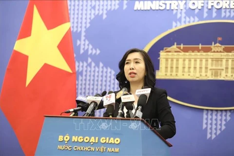 越南外交部就一名越南公民在韩国感染新冠肺炎的信息做出回应