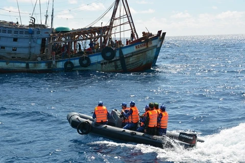 越南海警加强打击非法捕鱼活动