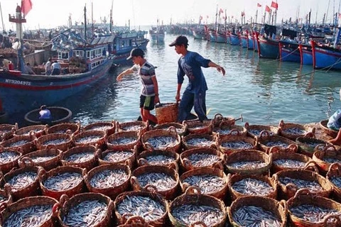 越南农业与农村发展部要求采取有力举措打击IUU捕捞