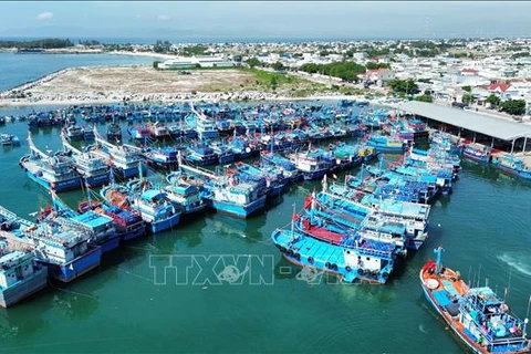 越南加强对渔港开采活动检查力度