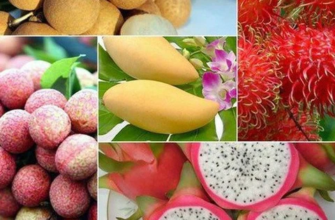 到2025年越南水果出口额将突破50亿美元 