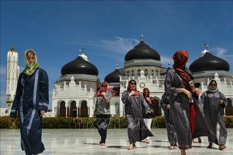 新型冠状病毒感染肺炎疫情：印尼旅游业损失预测值40亿美元
