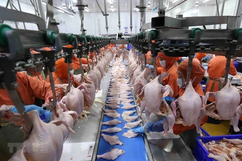 越南为鸡肉销往俄罗斯创造有利条件