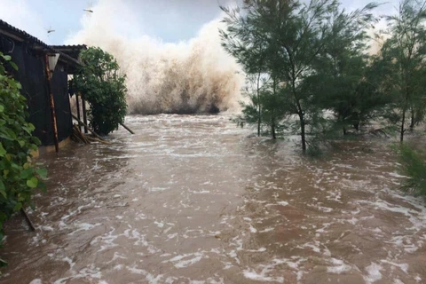 老挝总理就越南中部各省遭受台风“红霞”严重影响向阮春福总理致慰问信