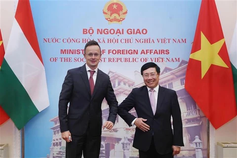 越南与匈牙利两国外长举行会谈
