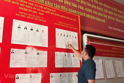 越南国会与各级人民议会换届选举：选民为国家选出优秀人才