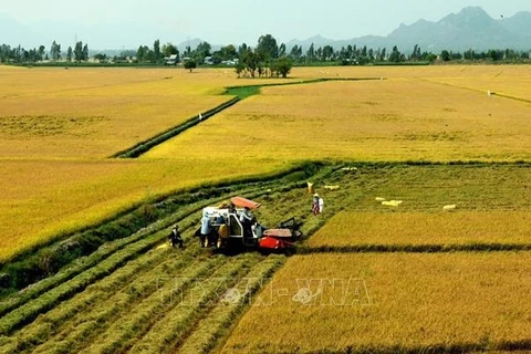 宁顺省凝心聚力推动农业与农村可持续发展
