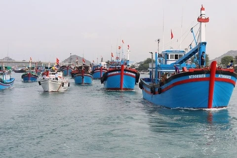 越南广南渔民严格遵守法规 努力解除IUU黄牌警告