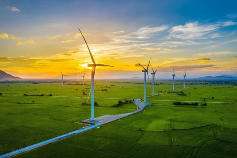 绿色能源：未来可持续发展的解决方案 