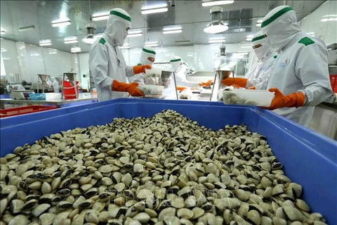 越南蛤蜊销往国际市场的基础