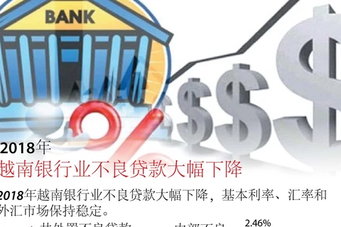 图表新闻： 2018年越南银行业不良贷款大幅下降 