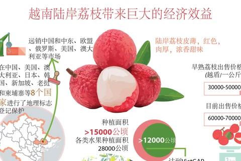 图表新闻：越南陆岸荔枝带来巨大的经济效益 