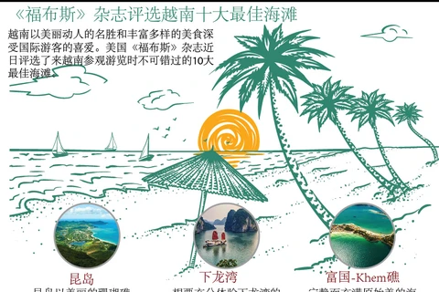 图表新闻：《福布斯》评选出越南十大最佳海滩