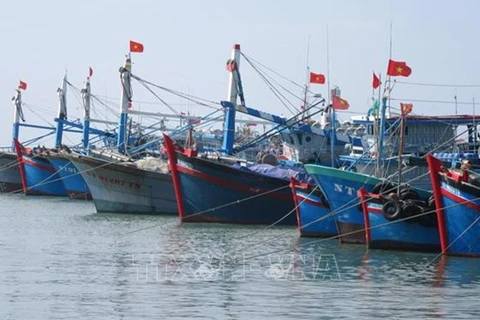 解除IUU“黄牌警告”：越南渔业界下定决心打击非法捕捞