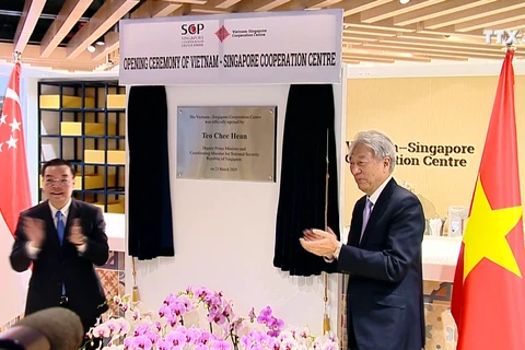 越南—新加坡合作中心正式揭牌