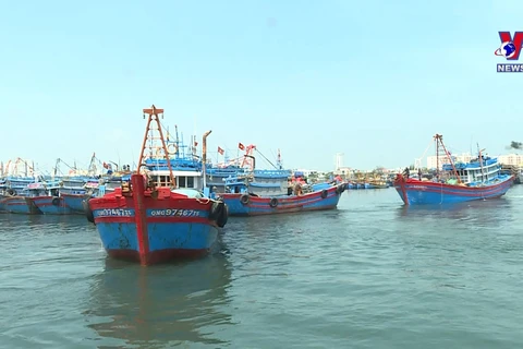 中部地区渔民坚持出海 牢牢捍卫越南海洋岛屿主权