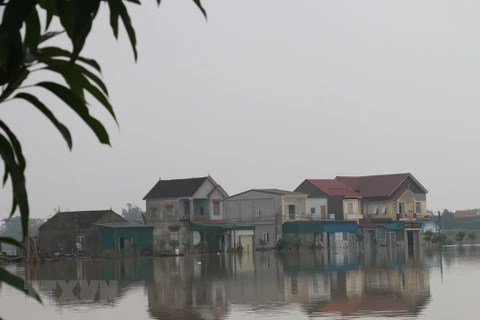 组图：乂安省洪水消退缓慢 数千名学生暂时无法上学