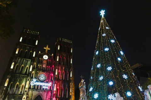组图：巨型圣诞树星光绽放 为首都河内点亮整个冬季