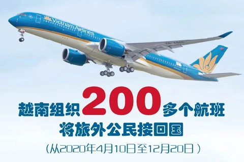 图表新闻：越南组织200多个航班将旅外公民接回国