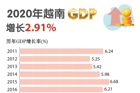 图表新闻：2020年越南GDP增长2.91%