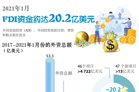 图表新闻：2021年1月FDI资金约达20.2亿美元