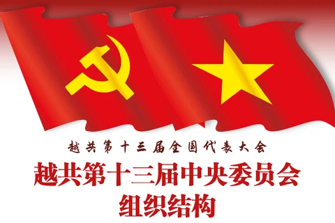 图表新闻：越共第十三届中央委员会组织结构