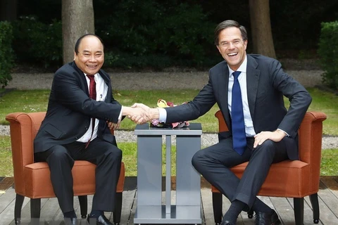 组图：越南与荷兰全面伙伴关系朝着可持续方向发展
